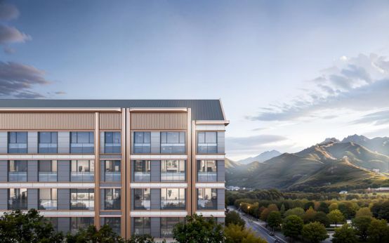 庆芯勾勒当代理想栖居范本中建·臻源府 一府臻源延(图1)